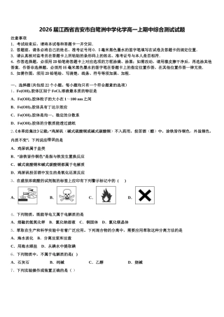 2026届江西省吉安市白鹭洲中学化学高一上期中综合测试试题含解析