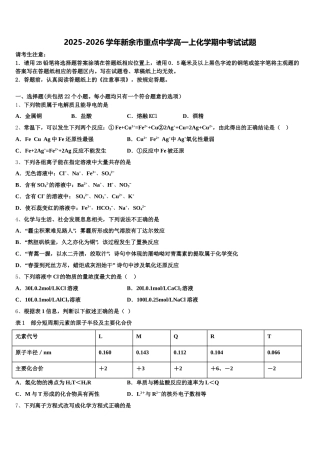 2025-2026学年新余市重点中学高一上化学期中考试试题含解析