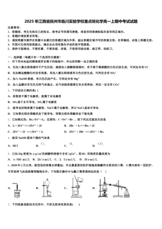 2025年江西省抚州市临川实验学校重点班化学高一上期中考试试题含解析
