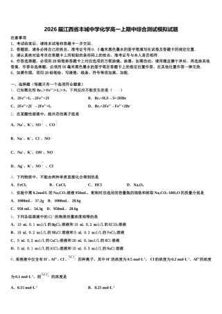 2026届江西省丰城中学化学高一上期中综合测试模拟试题含解析