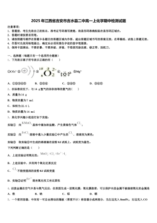 2025年江西省吉安市吉水县二中高一上化学期中检测试题含解析