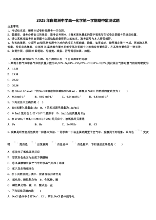 2025年白鹭洲中学高一化学第一学期期中监测试题含解析