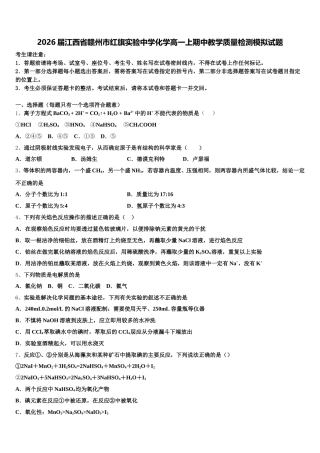 2026届江西省赣州市红旗实验中学化学高一上期中教学质量检测模拟试题含解析