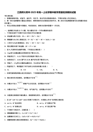 江西师大附中2025年高一上化学期中教学质量检测模拟试题含解析