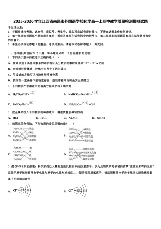 2025-2026学年江西省南昌市外国语学校化学高一上期中教学质量检测模拟试题含解析