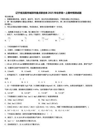 辽宁省沈阳市城郊市重点联合体2025年化学高一上期中预测试题含解析