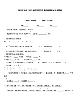 上海市普陀区2025年数学五下期末经典模拟试题含答案