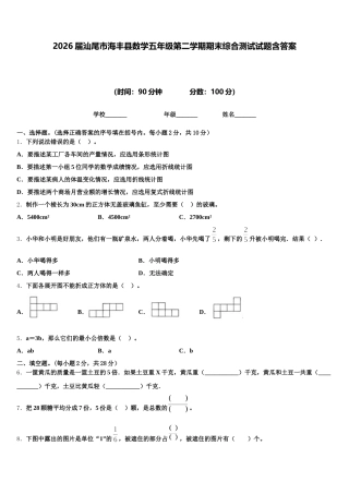 2026届汕尾市海丰县数学五年级第二学期期末综合测试试题含答案