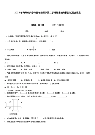 2025年梅州市兴宁市五年级数学第二学期期末统考模拟试题含答案