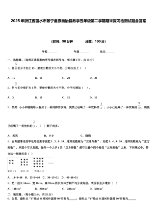 2025年浙江省丽水市景宁畲族自治县数学五年级第二学期期末复习检测试题含答案