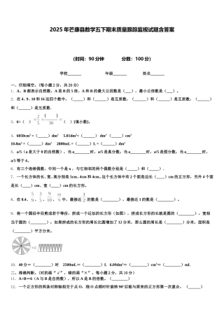 2025年芒康县数学五下期末质量跟踪监视试题含答案