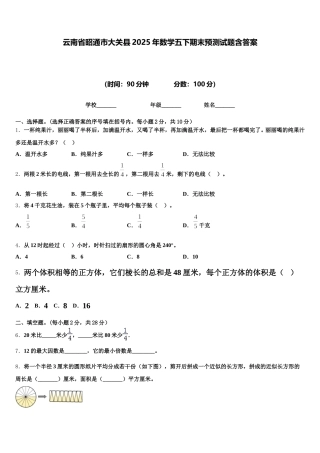 云南省昭通市大关县2025年数学五下期末预测试题含答案