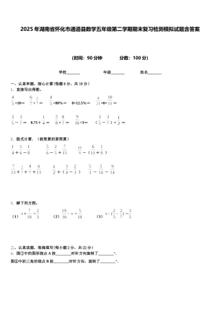 2025年湖南省怀化市通道县数学五年级第二学期期末复习检测模拟试题含答案