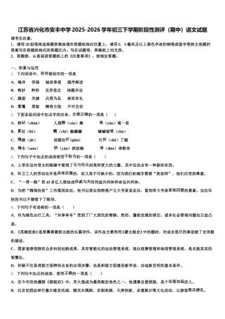 江苏省兴化市安丰中学2025-2026学年初三下学期阶段性测评（期中）语文试题含解析