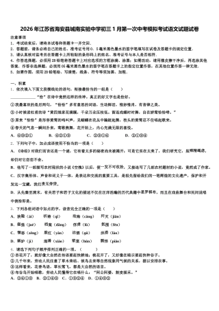 2026年江苏省海安县城南实验中学初三1月第一次中考模拟考试语文试题试卷含解析