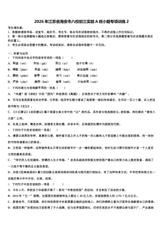 2026年江苏省海安市八校初三实验A班小题专项训练2含解析