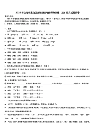 2026年上海市宝山区名校初三考前得分训练（三）语文试题试卷含解析