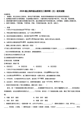 2026届上海市金山区初三二模冲刺（三）语文试题含解析