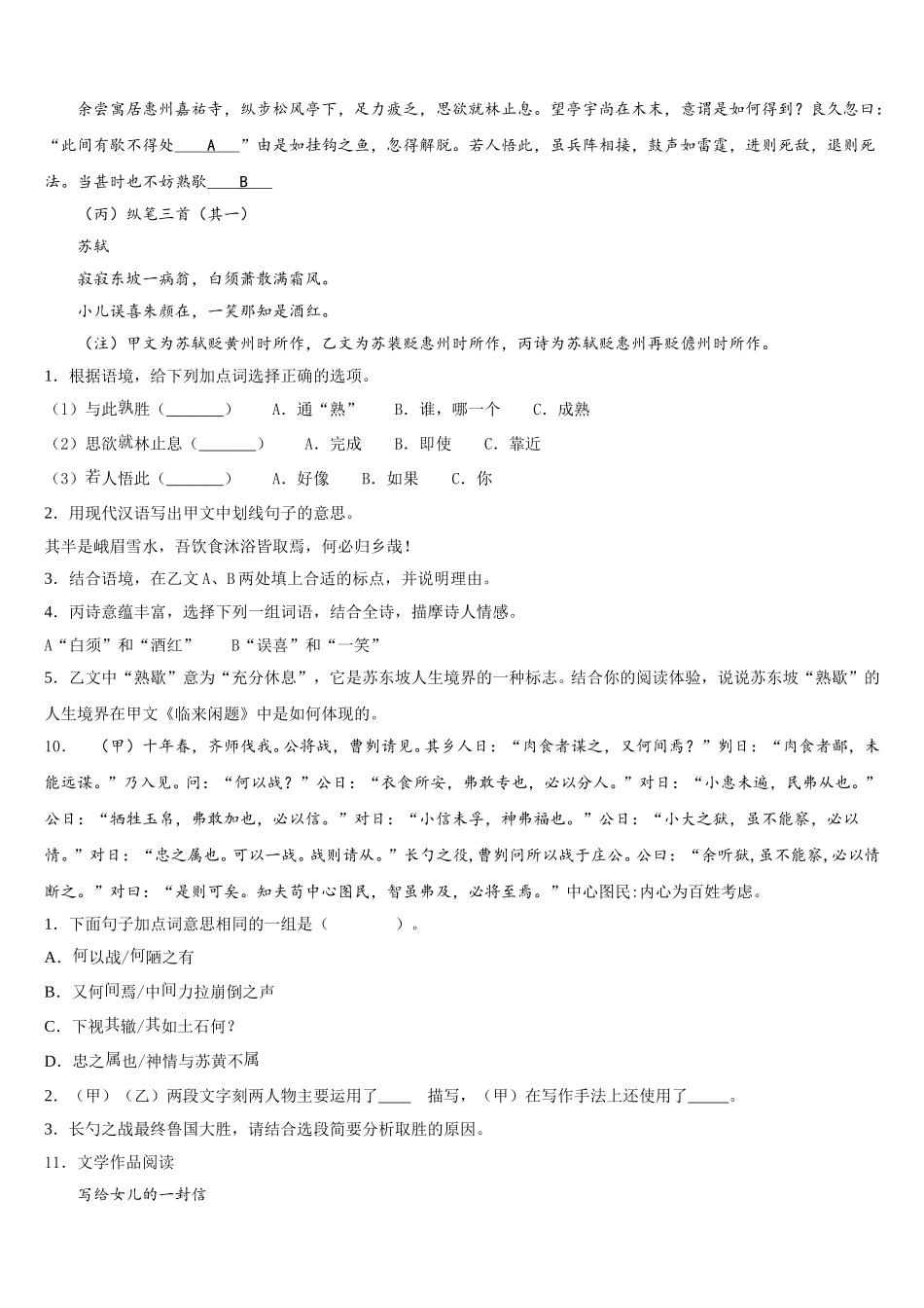 2026届四川省广元市苍溪县第一次中考适应性考试语文试题含解析_第3页