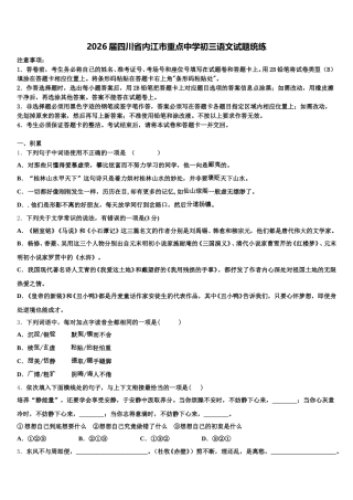 2026届四川省内江市重点中学初三语文试题统练含解析