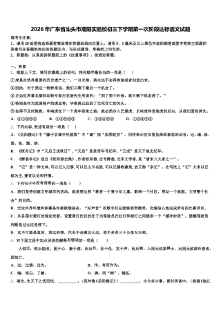 2026年广东省汕头市潮阳实验校初三下学期第一次阶段达标语文试题含解析