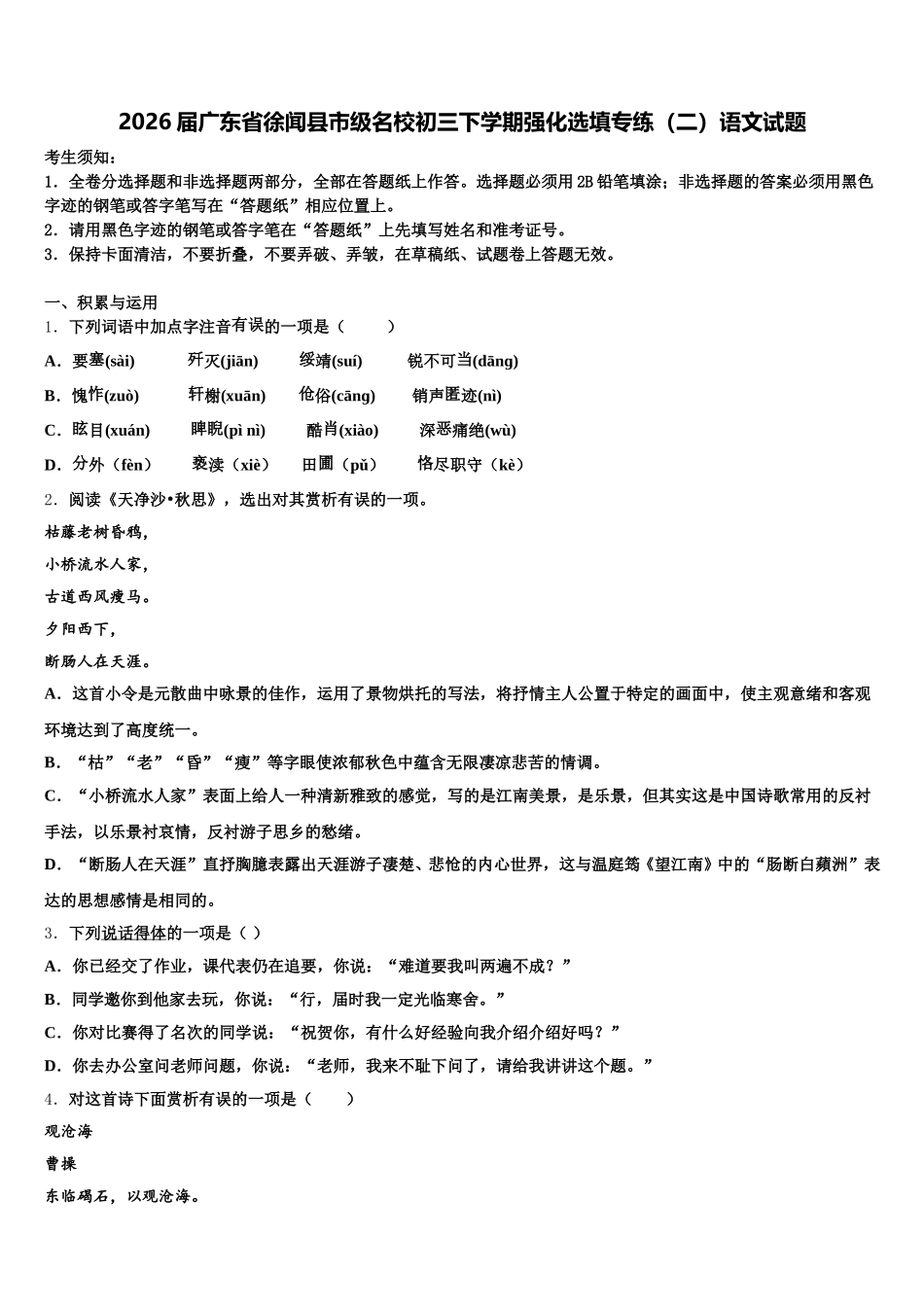 2026届广东省徐闻县市级名校初三下学期强化选填专练（二）语文试题含解析_第1页