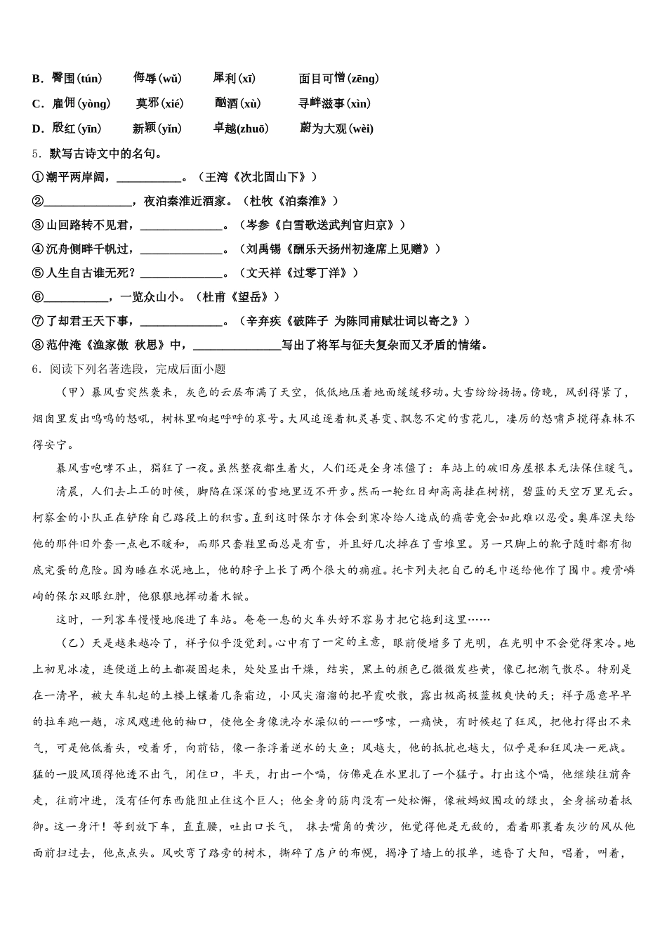 广州市番禺区重点名校2025-2026学年高中毕业生五月供题训练语文试题试卷含解析_第2页