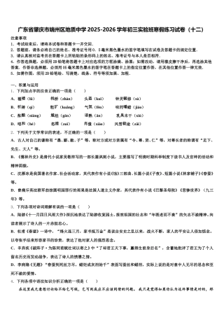 广东省肇庆市端州区地质中学2025-2026学年初三实验班寒假练习试卷（十二）含解析