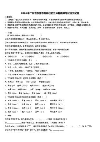 2026年广东省东莞市翰林校初三冲刺模拟考试语文试题含解析