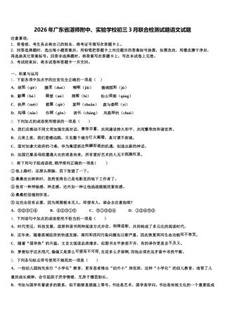 2026年广东省湛师附中、实验学校初三3月联合检测试题语文试题含解析
