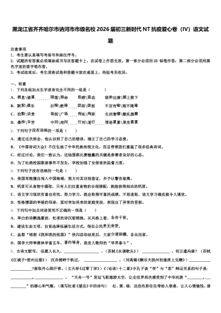 黑龙江省齐齐哈尔市讷河市市级名校2026届初三新时代NT抗疫爱心卷（IV）语文试题含解析