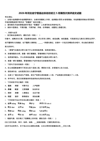 2026年河北省宁晋县达标名校初三5月第四次测评语文试题含解析