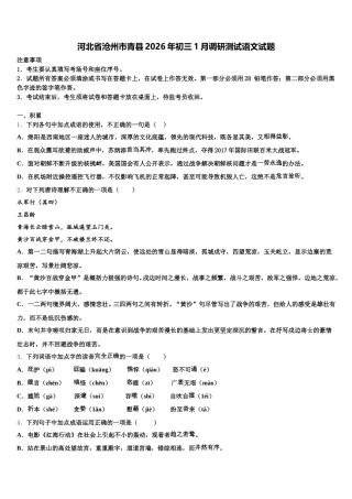 河北省沧州市青县2026年初三1月调研测试语文试题含解析