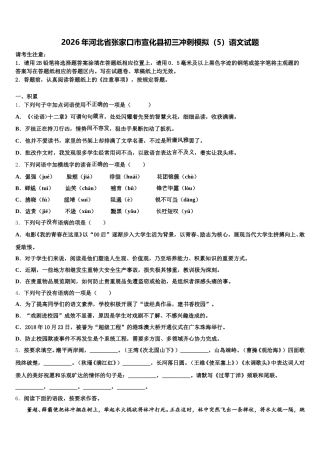2026年河北省张家口市宣化县初三冲刺模拟（5）语文试题含解析