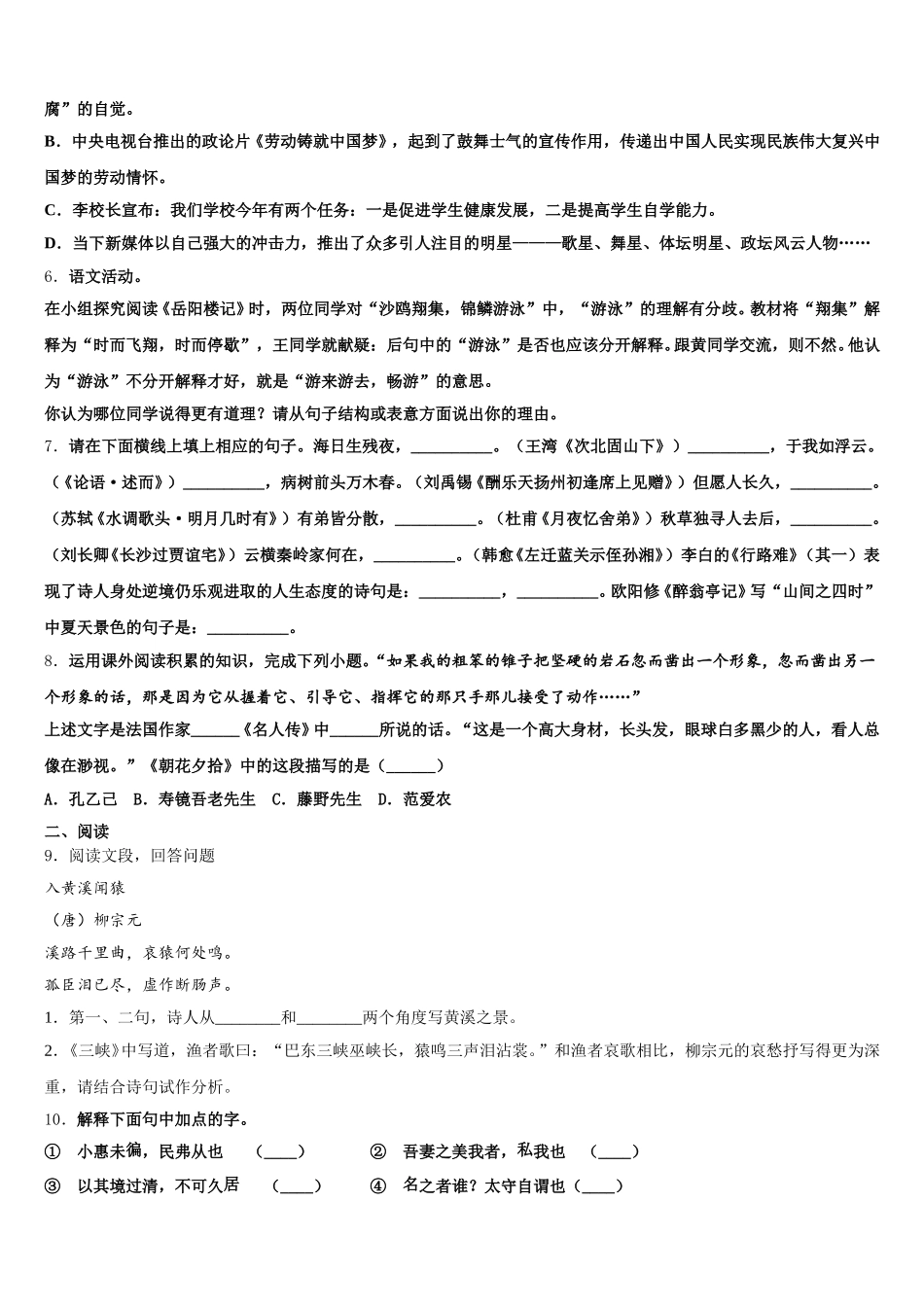 2026年河北省承德市丰宁县重点达标名校中考考前冲刺语文试题试卷含解析_第2页