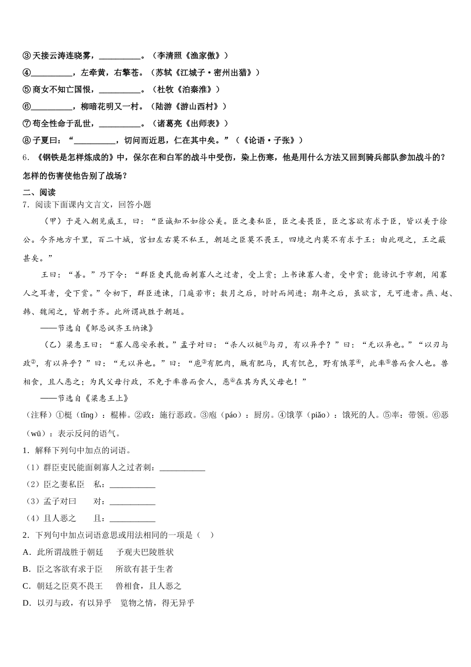 河南省濮阳市县达标名校2026届中考仿真模拟语文试题试卷含解析_第2页