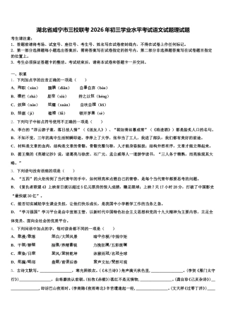 湖北省咸宁市三校联考2026年初三学业水平考试语文试题理试题含解析