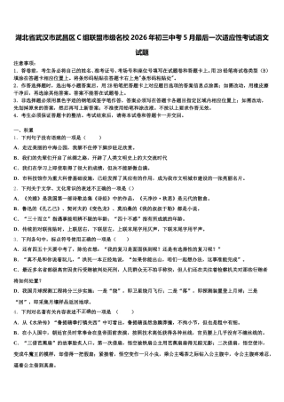 湖北省武汉市武昌区C组联盟市级名校2026年初三中考5月最后一次适应性考试语文试题含解析