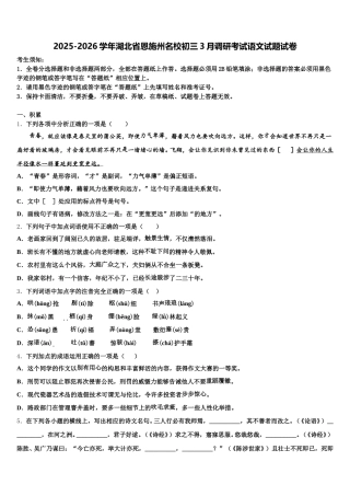 2025-2026学年湖北省恩施州名校初三3月调研考试语文试题试卷含解析