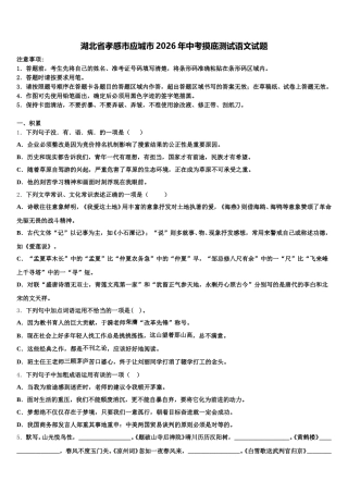 湖北省孝感市应城市2026年中考摸底测试语文试题含解析