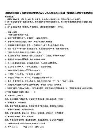 湖北省武昌区C组联盟重点中学2025-2026学年初三年级下学期第三次月考语文试题含解析