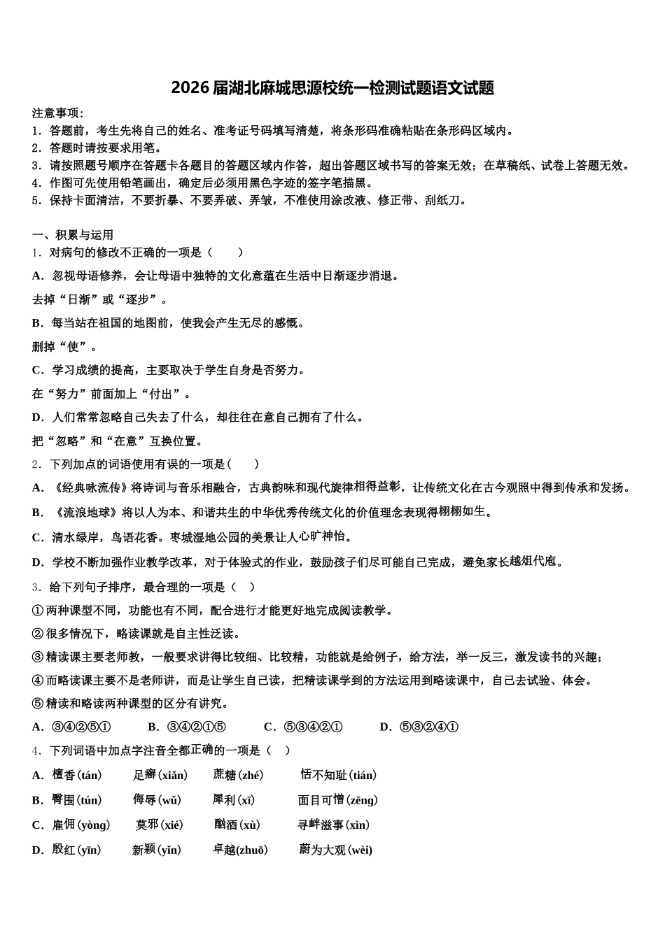 2026届湖北麻城思源校统一检测试题语文试题含解析_第1页