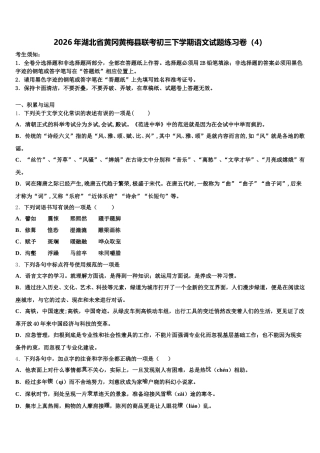 2026年湖北省黄冈黄梅县联考初三下学期语文试题练习卷（4）含解析
