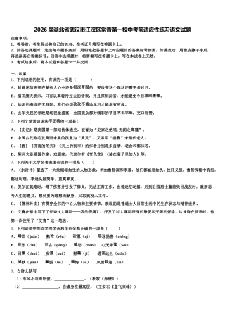 2026届湖北省武汉市江汉区常青第一校中考前适应性练习语文试题含解析