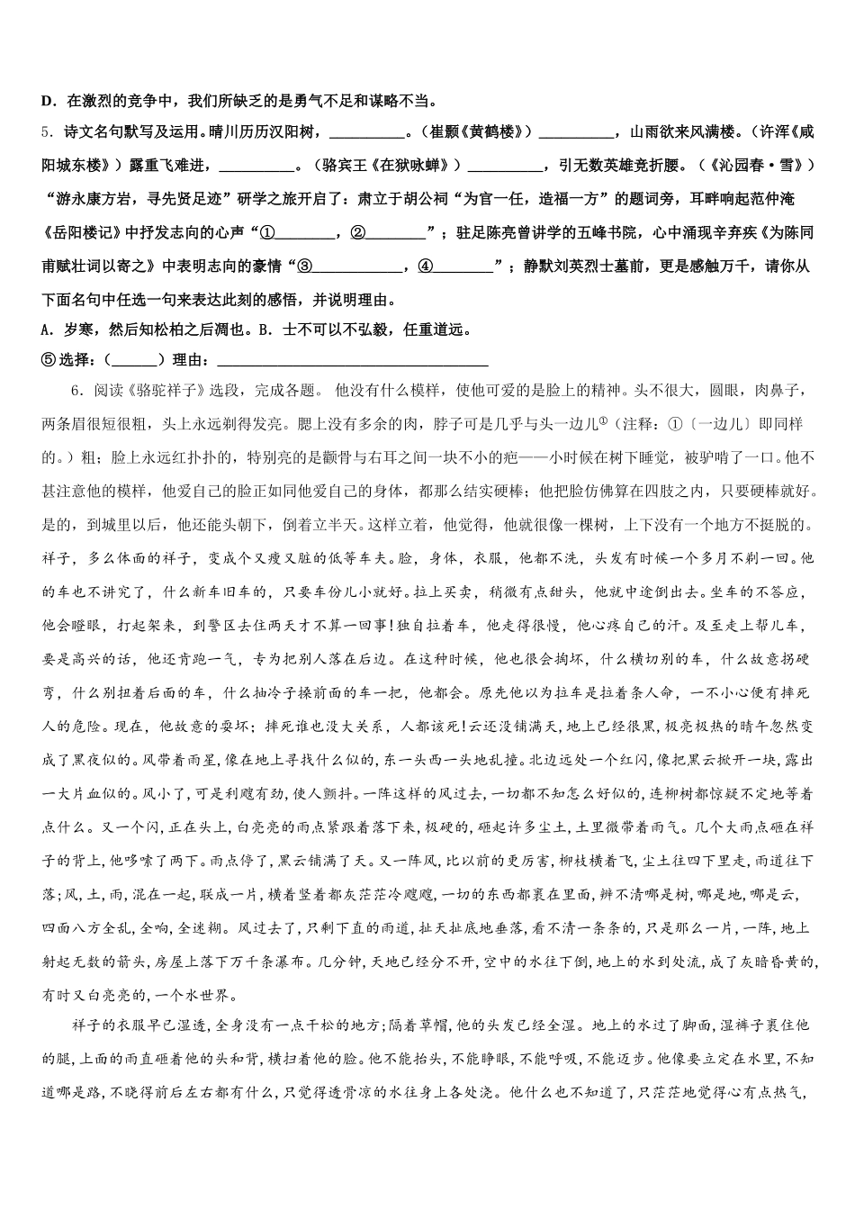2026届湖北省武汉市十四中学优质高中初三联考语文试题含解析_第2页