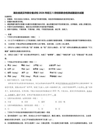 湖北省武汉市部分重点校2026年初三5月校际联合检测试题语文试题含解析