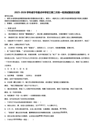 2025-2026学年咸宁市重点中学初三第二次统一检测试题语文试题含解析