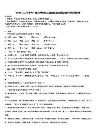 2025-2026学年广西贺州市初三语文试题大数据精华浓缩训练卷含解析