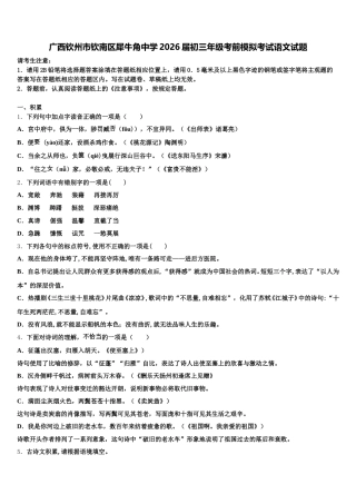 广西钦州市钦南区犀牛角中学2026届初三年级考前模拟考试语文试题含解析