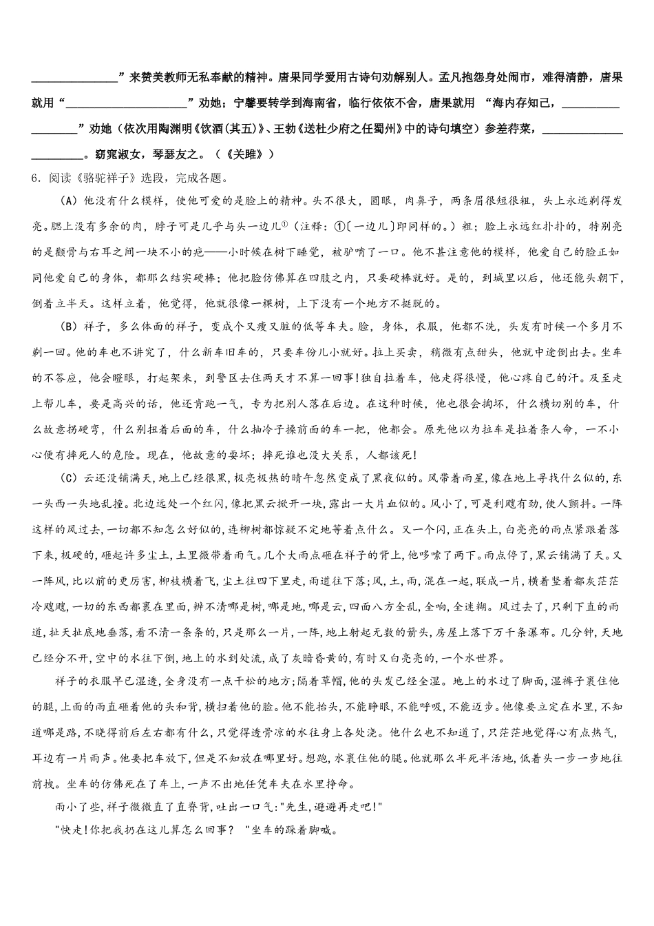 2026届广西梧州市岑溪市重点中学初三下学期一轮质量检测试题语文试题含解析_第2页